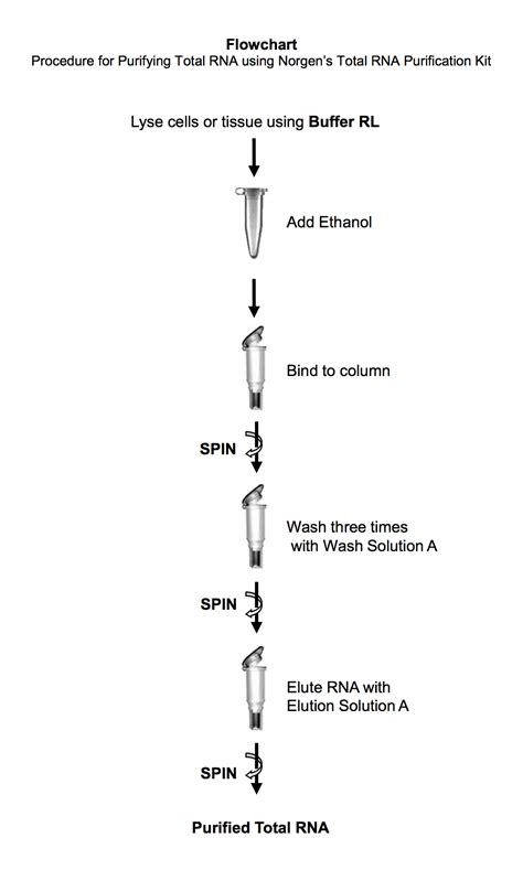 total rna purification|Purification of Total RNA from Mammalian Cells and Tissues.